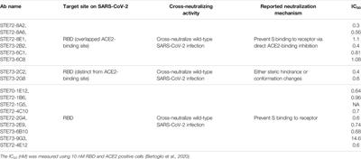 Potent Molecular Feature-based Neutralizing Monoclonal Antibodies as Promising Therapeutics Against SARS-CoV-2 Infection